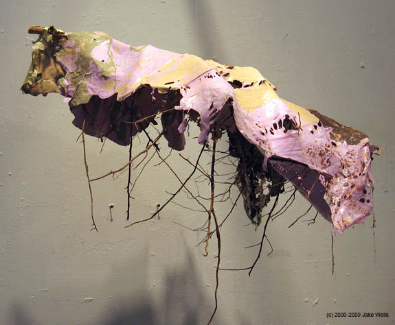 14) Draped Landscape