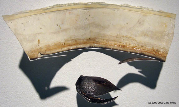 28) Butterdish_Landscape