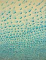 01) Blue Breakdown no.1