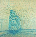 02) Blue Breakdown no.2