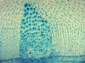 03) Blue Breakdown no.2_detail