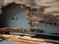 22) Zelda_detail